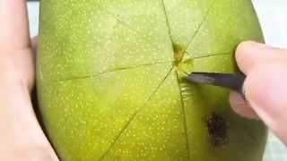 wow nice food
