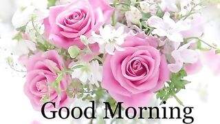 good morning