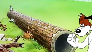 Watch this video, ????????