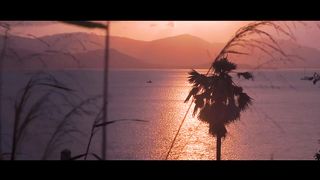 Coastal Charms: Waves Dancing