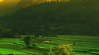 This is Sri Lanka