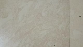 Vlog #1