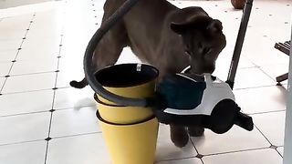 No help in this house