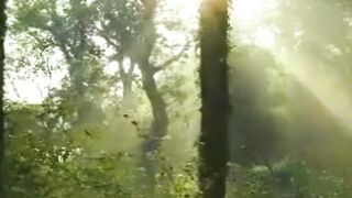 Beautiful nature