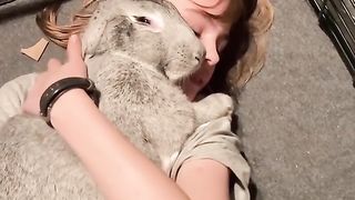 The Belgian giant is the largest breed of rabbit
