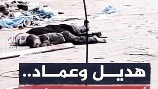 شاهدو ماذا يفعل الاحتلال الاسرائيلي بالاطفال
