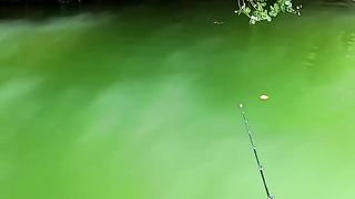 Video play