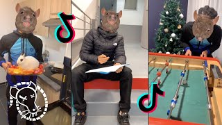 COMPILATION FRANÇAIS LE RAT TENDANCE DU MOMENT ! ???? #tiktok #compilation2021 #funny (JANVIER 2022).
