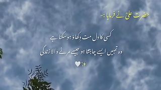 Best Lines