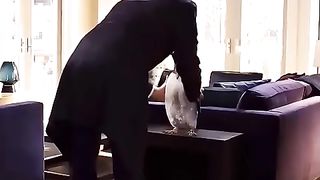 What kind of gift is this
