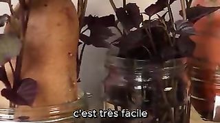 Ma douce patate