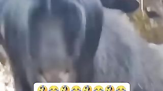 Tra nam ????????????