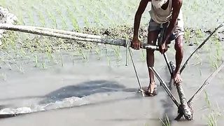 سقي بي طرقة عشوئية