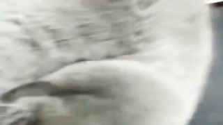I've run around a bit, and that's enough