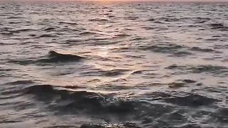 "Sunset Reverie: Nature's Final Curtain Call"