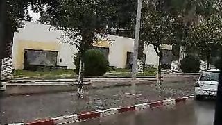 Vloge