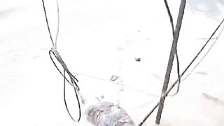 dasi video