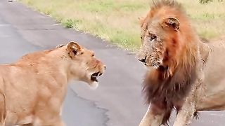 When Lady not ready