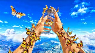 Beautiful Butterflies ...