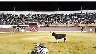 Crazy Taurus