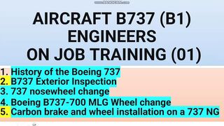 AIRCRAFT B737 (B1) ENGINEERS ON JOB TRAINING (01)