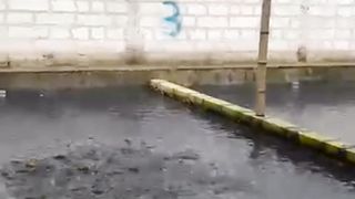 Penebaran GARAM GROSOK kekolam akan membasmi mikroba dan bakteri positif Em4, mohon dijelaskan❓