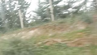 طبيعة الخلابة