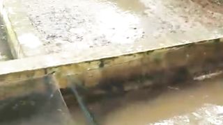 Bener kan❗Air sungai tanpa PROSES bisa jadi ikan lele kalian bermasalah