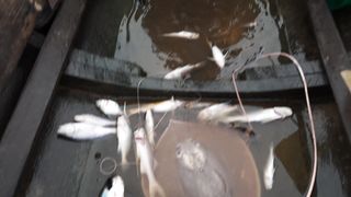 I GET MORE FISH WOW