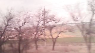 ЧУМЛЕКЬОЙ – ВИНОГРАДОВКА