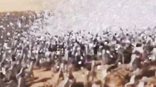 chicken videos funny | eag fighting times