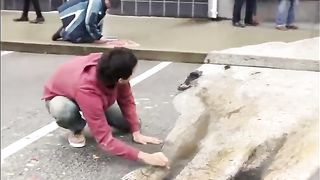 ℹ️ What does a bear gotta do to get some cheese around here