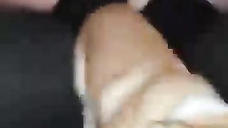 A funny moments of cat & dogs