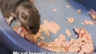 So cute _animals