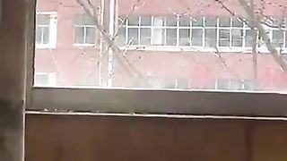 Funny cat and dogs moments