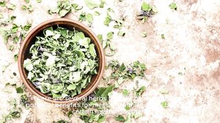 Discover Herbal Remedies for Mental Health St. John's Wort and Ashwagandha