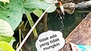 Fishing fish vidio