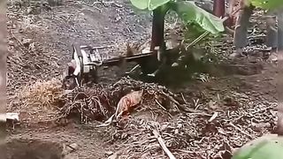 Funny