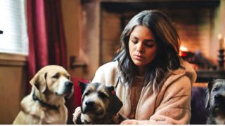 Heartwarming Tails: The Love of Dogs