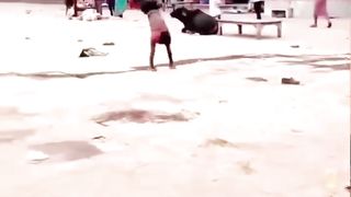 Funny videos