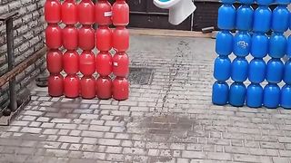 Bob destroyed