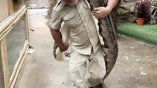 Monster Snake - Giant Angry