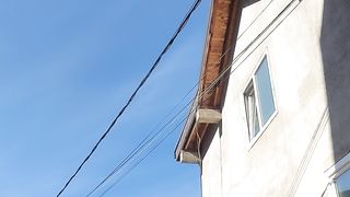 Zici banderi