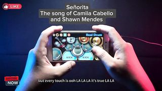 Señorita Song by Camila Cabello and Shawn Mendes