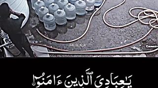 Kullu Nafsin Jaikatul Maut