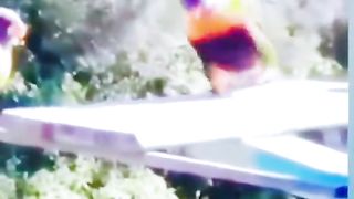 رقص الطيور