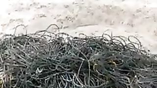 Poor sea turtle