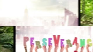The Perseverance