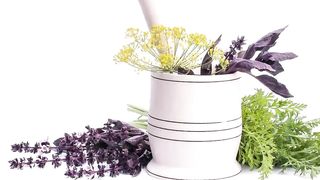 Boost immune function naturally Use herbal remedies