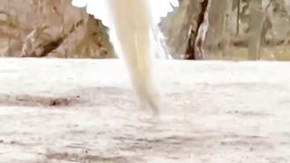 When a beautiful bell is landing on the ground, what a beautiful temple is appearing.